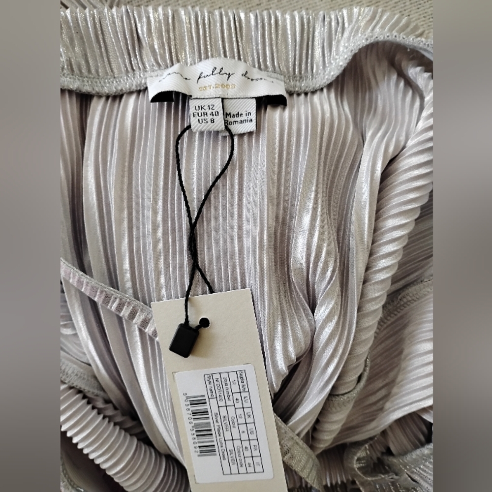 Never Fully Dressed Silver Maxi Dress - Picture 5 of 5